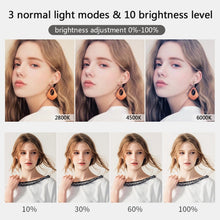 Load image into Gallery viewer, 10" 26cm LED Selfie Ring Light Photography Video Light RingLight Phone Stand Tripod Fill Light Dimmable Lamp Trepied Streaming