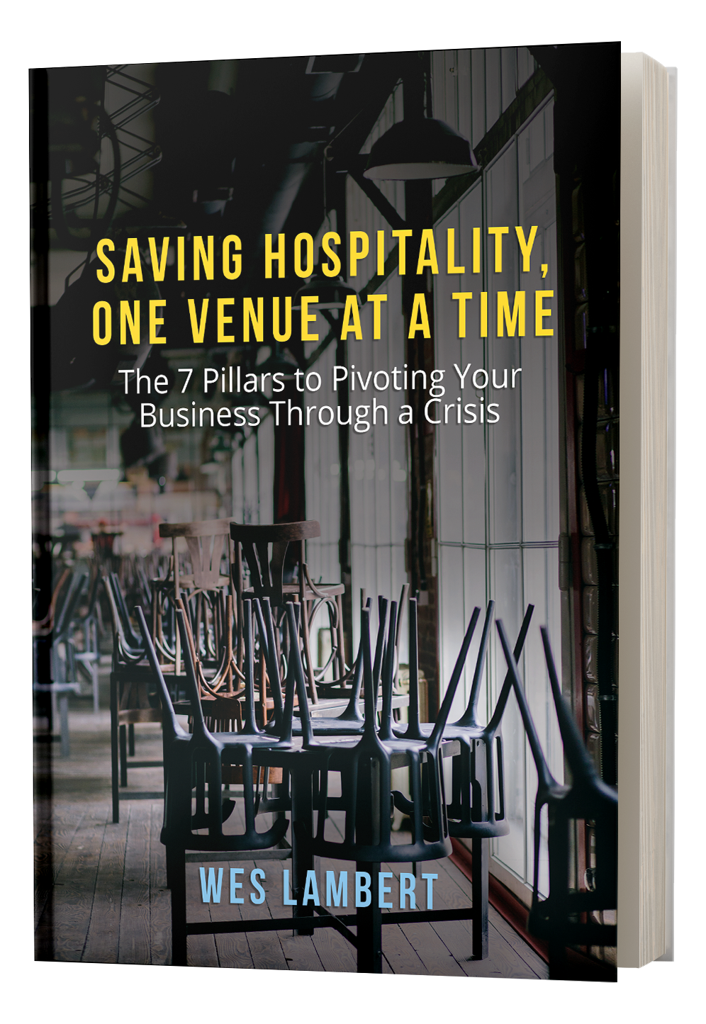 Saving Hospitality, One Venue at a Time eBook